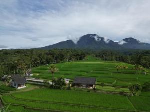 ジャティルウィにあるKUBU D'UME HOMESTAYの山を背景とした農場の空中風景