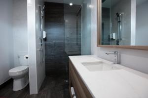 La salle de bains est pourvue de toilettes, d'un lavabo et d'une douche. dans l'établissement Hotelia, à Saint-Ambroise
