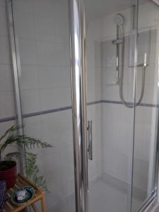 a shower with a glass door in a bathroom at Samuel cottage in Caernarfon