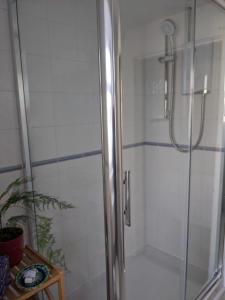 una doccia con una porta in vetro in un bagno di Samuel cottage a Caernarfon