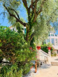 a tree in front of a building with plants at La Garoupe-Gardiole in Antibes