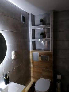 un bagno con un water e un lavandino di Apartament położony u podnóża Gór Bardzkich a Bardo