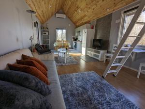 a living room with a couch and a kitchen at Dyreborg Boutique Guesthouse in Knäred