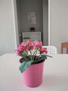 Palota Apartman في غودولو: يوجد نبات خزاف وردي على طاولة