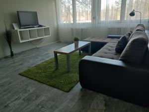 un soggiorno con divano e tavolino da caffè di Palota Apartman a Gödöllő