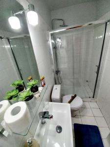 Koupelna v ubytování ML Saroko Apartment 2