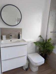 a bathroom with a sink and a toilet and a mirror at Cosy 4 Bedroom Town House Ample Parking & Netflix in Leominster