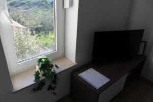 TV a/nebo společenská místnost v ubytování Villa Branko