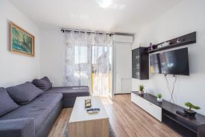 普拉的住宿－Sunny apartment ILI near Amfiteatar，带沙发和电视的客厅