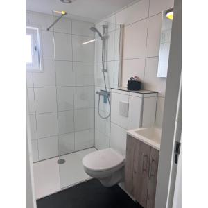 a bathroom with a shower and a toilet and a sink at NV 1220 - Beach Resort Nieuwvliet Bad in Nieuwvliet
