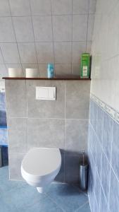 Koupelna v ubytování Visnyó Vendégház