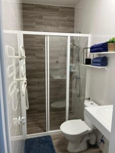 a bathroom with a shower and a toilet and a sink at Venedų apartament, Mano Jūra 2, Kunigiškiai in Palanga