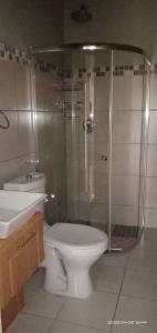 a bathroom with a shower and a toilet and a sink at Capital On French Guest House in Pietermaritzburg