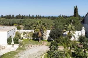 an aerial view of a garden with palm trees at Suite Dimora Storica Maccarone in Fasano