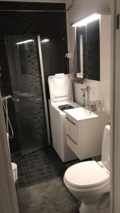 トゥルクにあるPieni kaksio viihtyisässä Martissaのトイレ、洗面台、シャワー付きのバスルーム