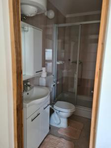 e bagno con servizi igienici e doccia. di Apartments Ivan a Povljana (Pogliana)