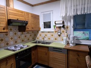 Kuchyň nebo kuchyňský kout v ubytování Alpenblick