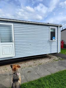 a dog is sitting in front of a trailer at Haven Holiday Park 3 bedroom Cala Gran Fleetwood in Thornton