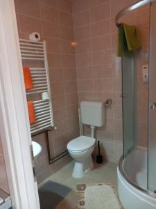 a small bathroom with a toilet and a shower at Rooms Sobe ZG in Zagreb