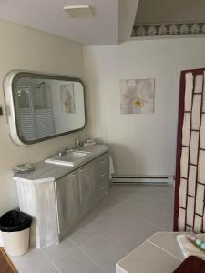 a bathroom with a sink and a mirror at Motel du rosier in Baie-Comeau