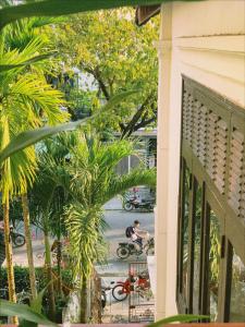 - une vue sur une rue depuis une maison avec des palmiers dans l'établissement An Hiên Homestay Hội An, à Hội An