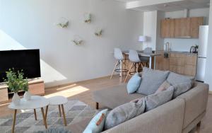 a living room with a couch and a kitchen at Aida 5 City Center Apartment in Pärnu