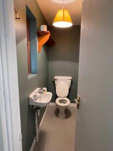La petite salle de bains est pourvue de toilettes et d'un lavabo. dans l'établissement Newly renovated Cottage with private trout fishing set in beautiful wildlife estate, à Monaghan