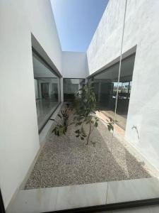 a large white building with a plant in a courtyard at Villa Luxe avc femme de ménage in Marrakesh