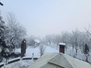 Gallery image of Tudor's Valea Doftanei in Trăisteni