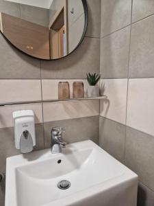W łazience znajduje się biała umywalka i lustro. w obiekcie FRIZ&FANY Postojna City Center w mieście Postojna