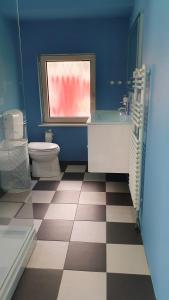 een blauwe badkamer met een toilet en een raam bij De Fluessen Loft in Elahuizen