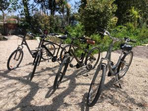a couple of bikes parked next to each other at ribeira dos marinheiros amarelo in Sintra