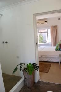 Zimmer mit einer Topfpflanze und einem Schlafzimmer in der Unterkunft Sagelands for business travel & family getaways in Durban