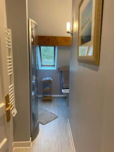 ein Badezimmer mit ebenerdiger Dusche und Toilette in der Unterkunft Concombre Cottage in Le Grais + 14 Fotos