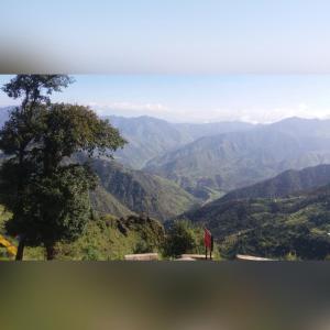 a tree on a hill with a view of mountains at Silver Dew Resorts and Restaurant in Dhanaulti