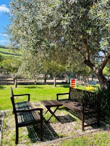 two benches and a picnic table under a tree at Agriturismo Silis in Sennori