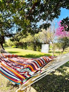 a hammock sitting in a park under a tree at Agriturismo Silis in Sennori