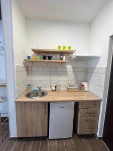 una piccola cucina con lavandino e bancone di Apartman S2 a Ostrovo