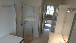 a bathroom with a shower with a glass door at Falkenberg /Vinberg in Vinberg