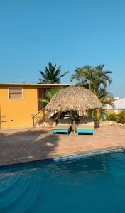 een zwembad met 2 stoelen en een rieten parasol bij Casa di Caribe - Deluxe beach house in Willemstad