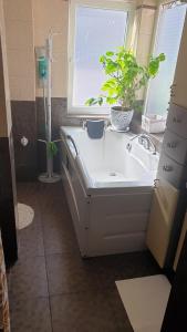 ein Badezimmer mit einer Badewanne und einer Pflanze in einem Fenster in der Unterkunft Jurmala's Centre Apartments in Jūrmala