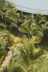 Widok na basen w obiekcie Casa Colonial en Manga lub jego pobliżu