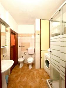 uma casa de banho com um WC, um lavatório e uma máquina de lavar roupa em Apartment Valentina em Tergu