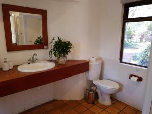 a bathroom with a toilet and a sink and a mirror at Heuglins Lodge in White River
