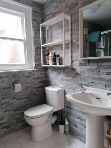 a bathroom with a toilet and a sink at Stunning 3 Bedroom townhouse in the heart of city in Belfast