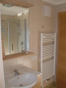 カンポ・トゥーレスにあるAusserangistlhofのバスルーム(シンク、シャワー、鏡付)