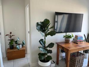 a room with a tv and a table with plants at Luxury one bedroom apartment in Somerset West