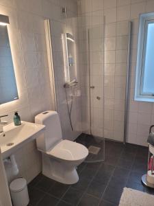 W łazience znajduje się toaleta, umywalka i prysznic. w obiekcie Frillesås BB Vallersvik w mieście Frillesås
