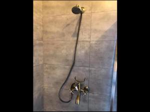 a shower with a hose and a shower head at Zubyria Lodge in Krekhayev