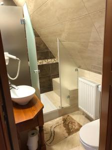 a bathroom with a sink and a shower and a toilet at Apartamenty u Ani in Ząb